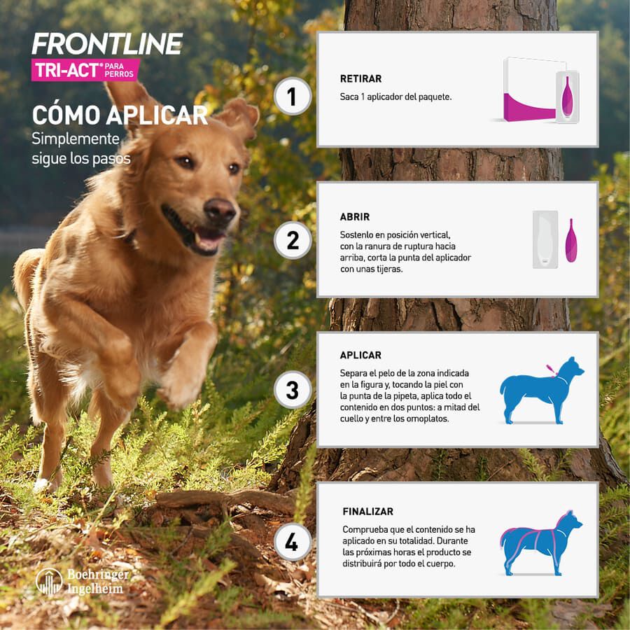 Frontline Tri-Act Pipetas Antiparasitarias para perros 10 - 20 kg, , large Imagen numero 3
